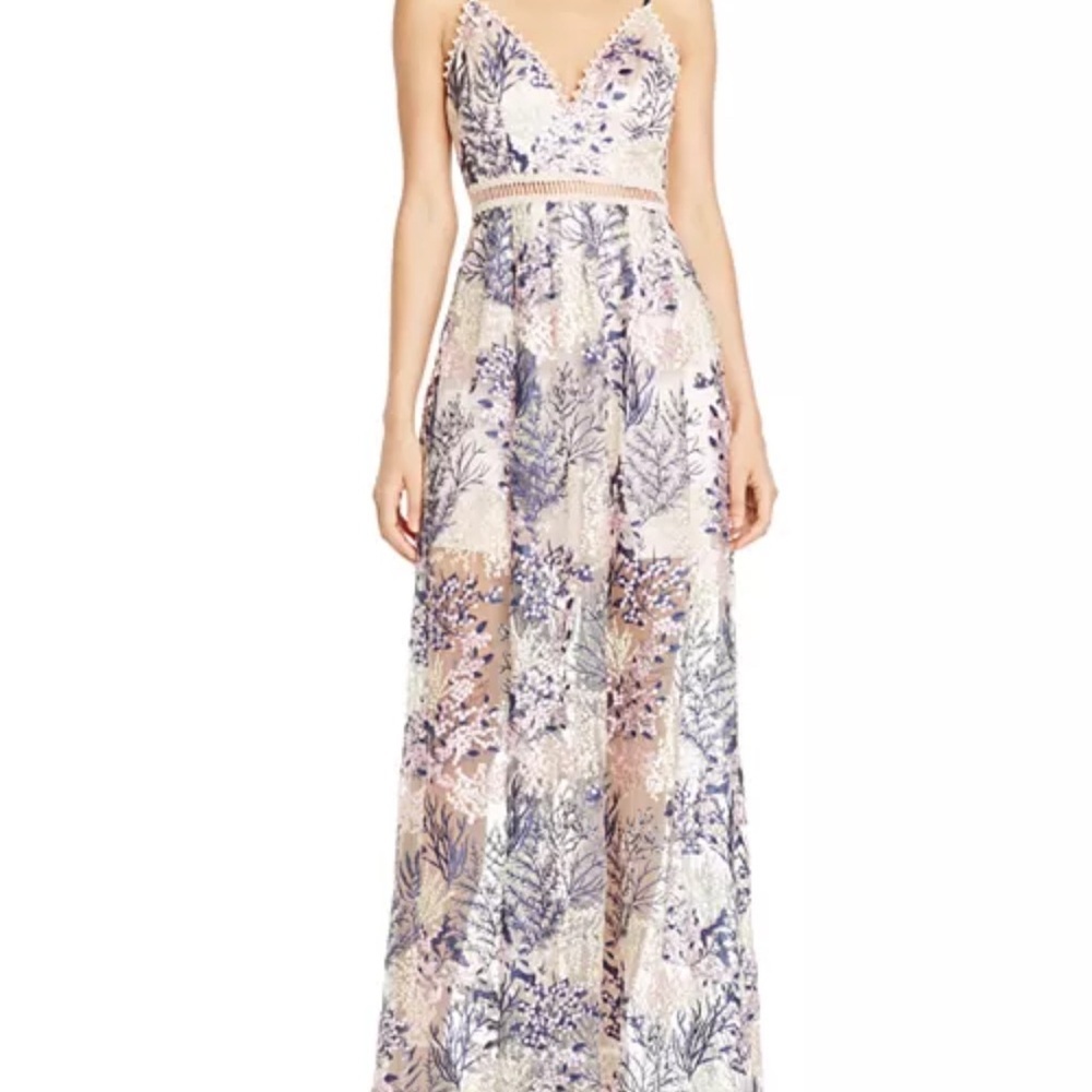 AQUA Embroidered Mesh Maxi Dress Blush Multi XS | Floral Lace Overlay Gown - Picture 2 of 12